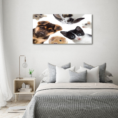 Cuadro canvas con impresión uv duradera horizontal Mascotas