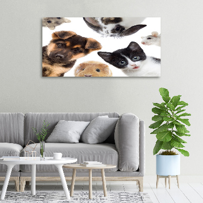 Cuadro canvas con impresión uv duradera horizontal Mascotas