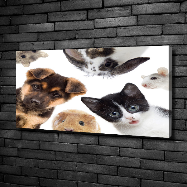 Cuadro canvas con impresión uv duradera horizontal Mascotas