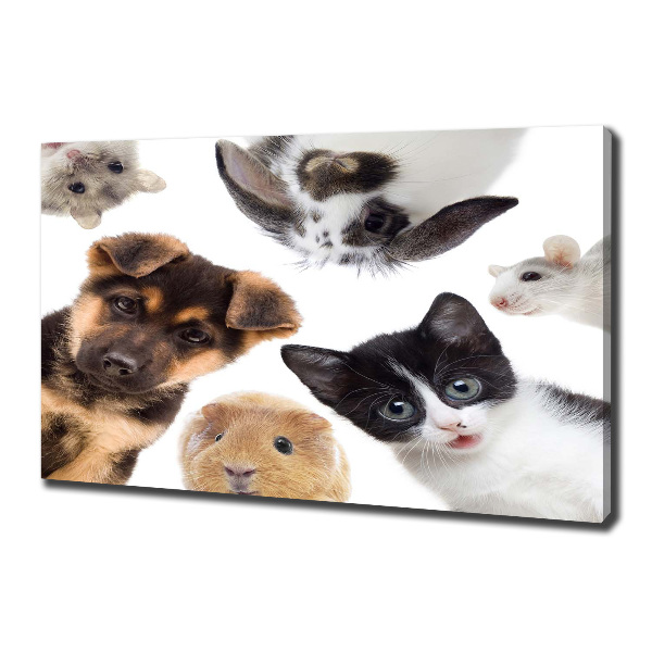 Cuadro canvas con impresión uv duradera horizontal Mascotas