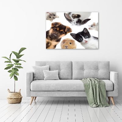 Cuadro canvas con impresión uv duradera horizontal Mascotas