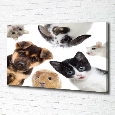Cuadro canvas con impresión uv duradera horizontal Mascotas