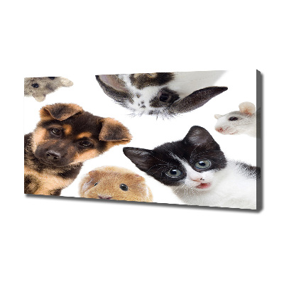 Cuadro canvas con impresión uv duradera horizontal Mascotas