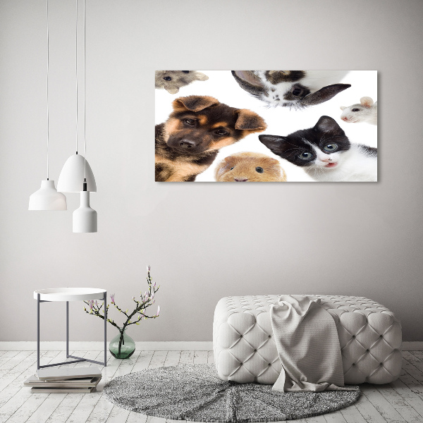 Cuadro canvas con impresión uv duradera horizontal Mascotas