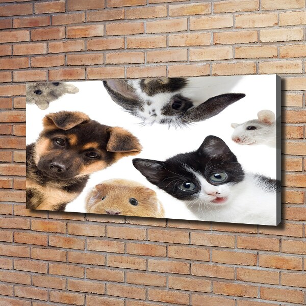 Cuadro canvas con impresión uv duradera horizontal Mascotas