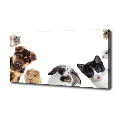 Cuadro canvas moderno de gran formato horizontal Mascotas