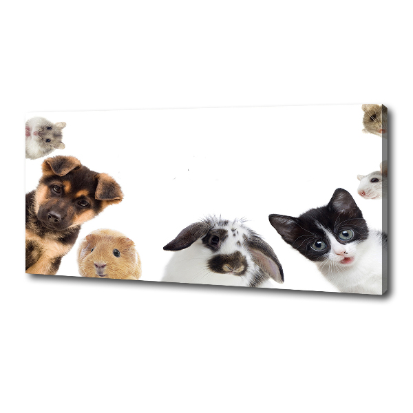 Cuadro canvas moderno de gran formato horizontal Mascotas