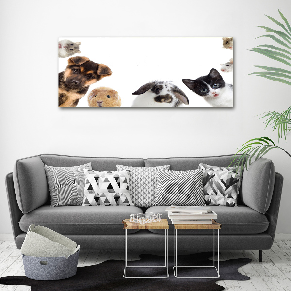 Cuadro canvas moderno de gran formato horizontal Mascotas