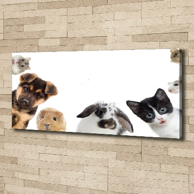 Cuadro canvas moderno de gran formato horizontal Mascotas