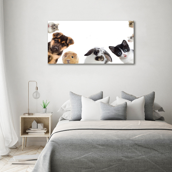 Cuadro canvas moderno de gran formato horizontal Mascotas