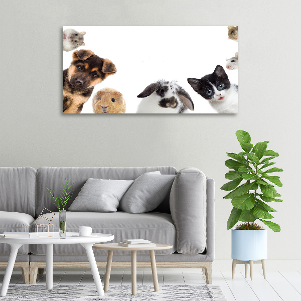 Cuadro canvas moderno de gran formato horizontal Mascotas