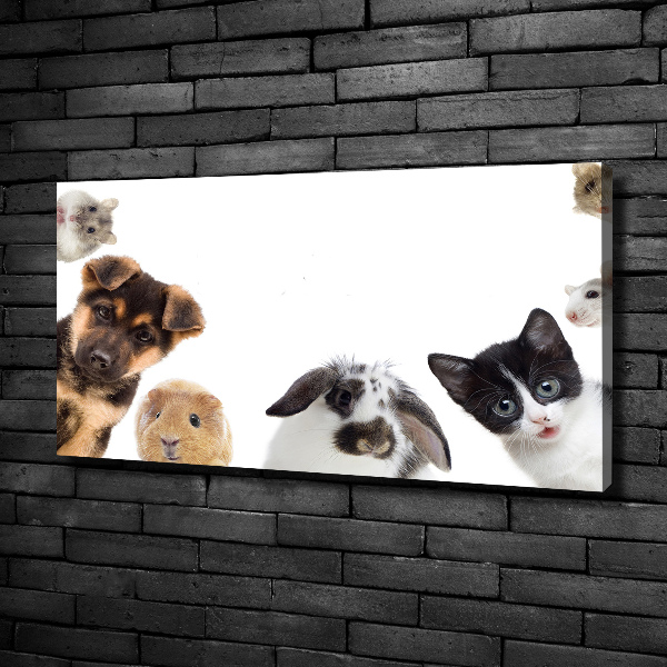 Cuadro canvas moderno de gran formato horizontal Mascotas