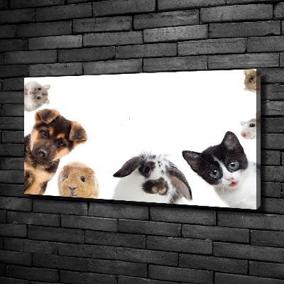 Cuadro canvas moderno de gran formato horizontal Mascotas