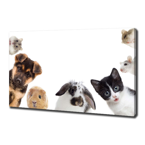 Cuadro canvas moderno de gran formato horizontal Mascotas