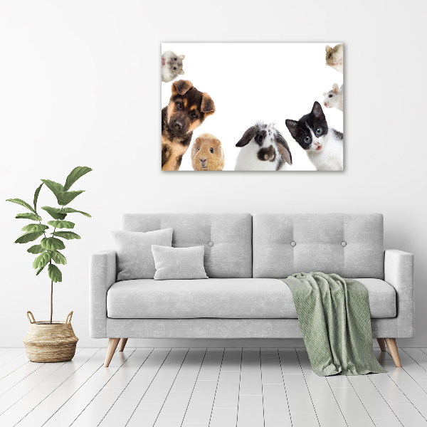 Cuadro canvas moderno de gran formato horizontal Mascotas