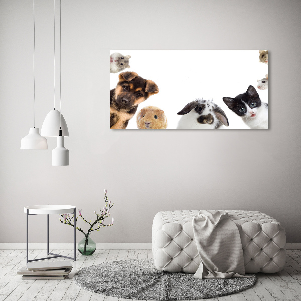 Cuadro canvas moderno de gran formato horizontal Mascotas