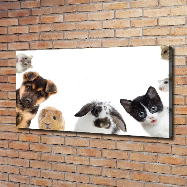 Cuadro canvas moderno de gran formato horizontal Mascotas