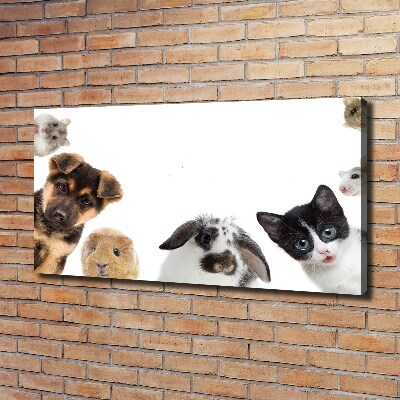 Cuadro canvas moderno de gran formato horizontal Mascotas