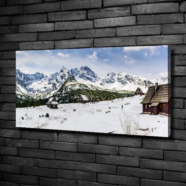 Foto obraz canvas Hale Tatry