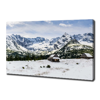 Foto obraz canvas Hale Tatry