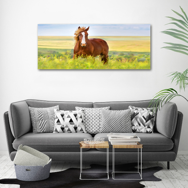 Foto en lienzo con acabado profesional horizontal Caballo marrón