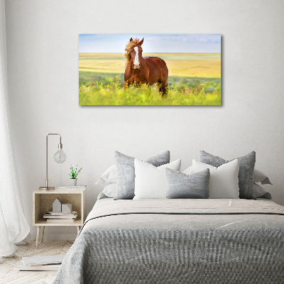 Foto en lienzo con acabado profesional horizontal Caballo marrón