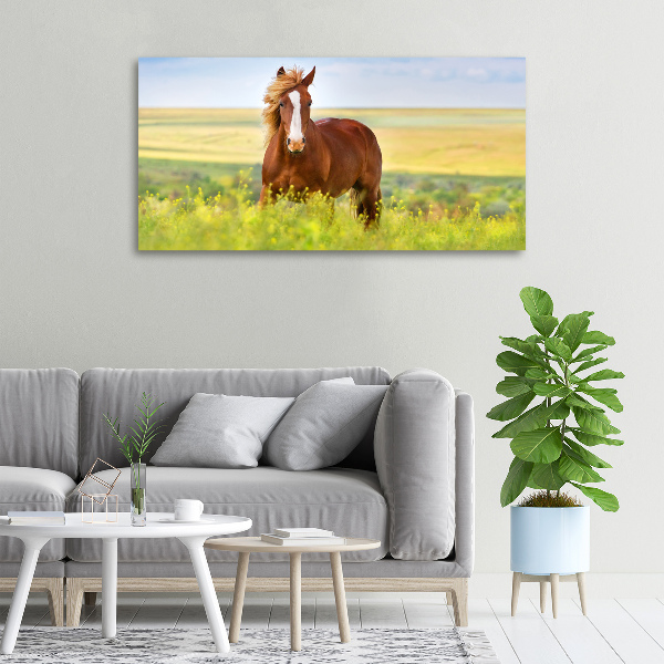 Foto en lienzo con acabado profesional horizontal Caballo marrón