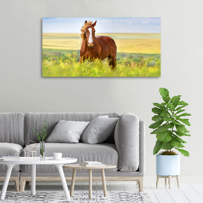 Foto en lienzo con acabado profesional horizontal Caballo marrón