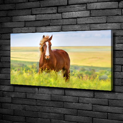 Foto en lienzo con acabado profesional horizontal Caballo marrón