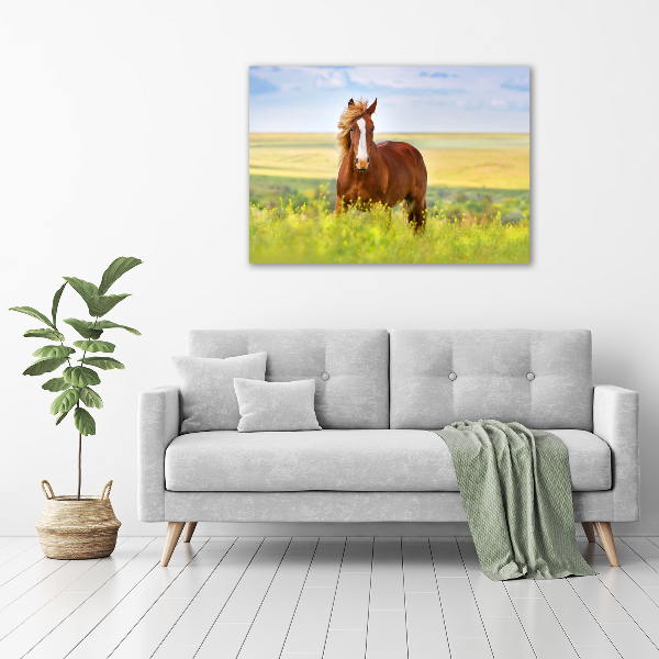 Foto en lienzo con acabado profesional horizontal Caballo marrón