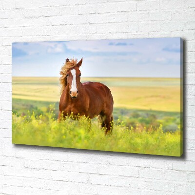 Foto en lienzo con acabado profesional horizontal Caballo marrón