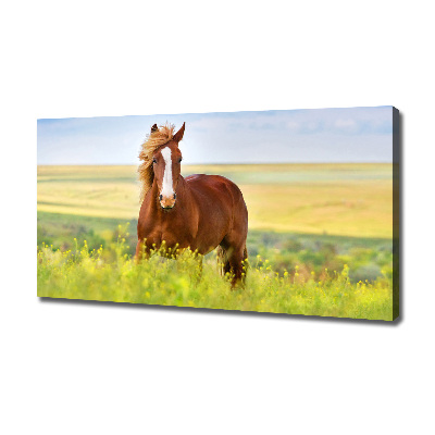 Foto en lienzo con acabado profesional horizontal Caballo marrón