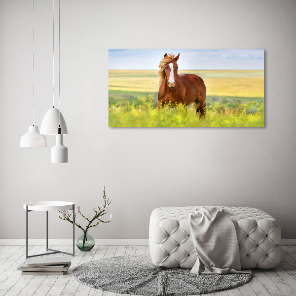 Foto en lienzo con acabado profesional horizontal Caballo marrón