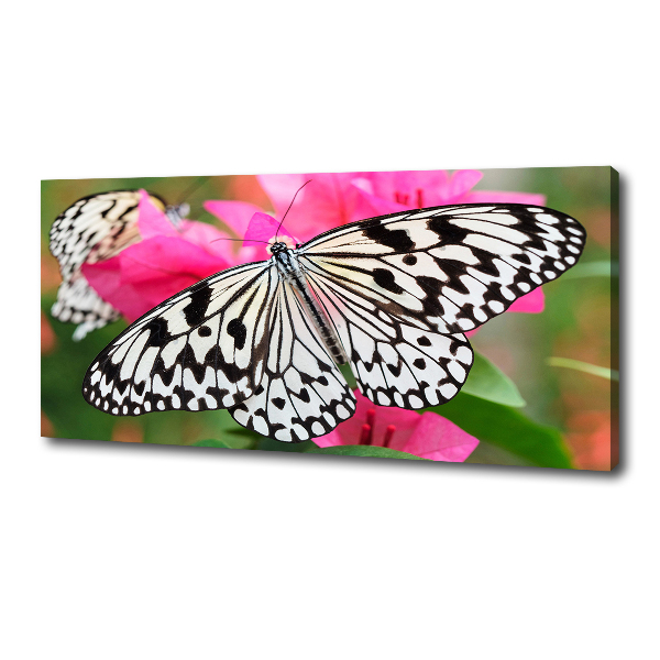 Cuadro canvas con impresión uv duradera horizontal Mariposa en una flor