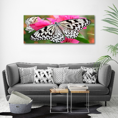 Cuadro canvas con impresión uv duradera horizontal Mariposa en una flor