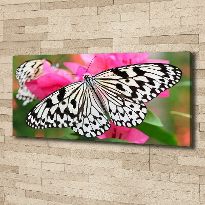 Cuadro canvas con impresión uv duradera horizontal Mariposa en una flor