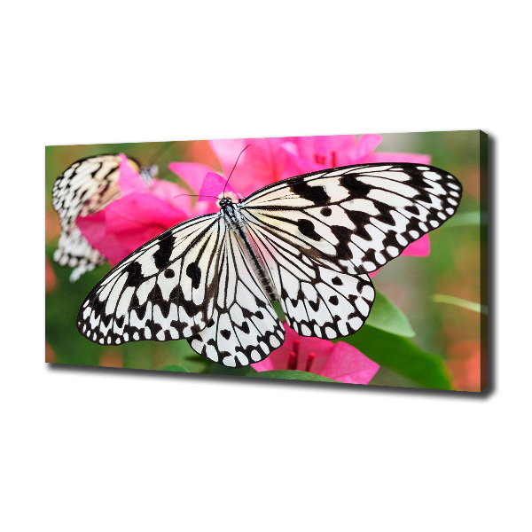 Cuadro canvas con impresión uv duradera horizontal Mariposa en una flor