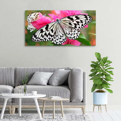 Cuadro canvas con impresión uv duradera horizontal Mariposa en una flor