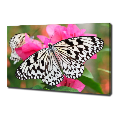 Cuadro canvas con impresión uv duradera horizontal Mariposa en una flor