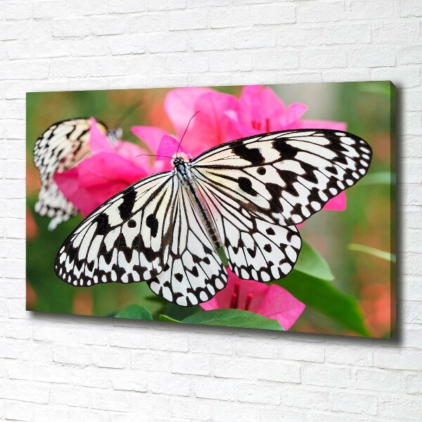 Cuadro canvas con impresión uv duradera horizontal Mariposa en una flor