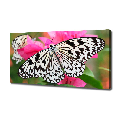 Cuadro canvas con impresión uv duradera horizontal Mariposa en una flor