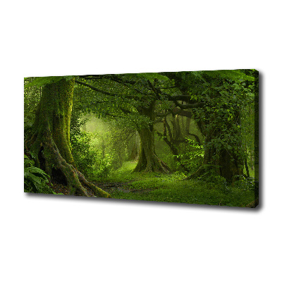Cuadro canvas con impresión uv duradera horizontal Selva tropical