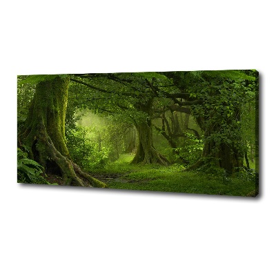 Cuadro canvas con impresión uv duradera horizontal Selva tropical