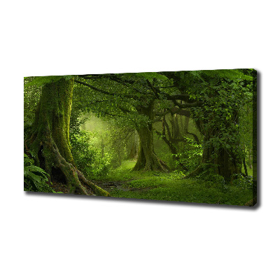Cuadro canvas con impresión uv duradera horizontal Selva tropical