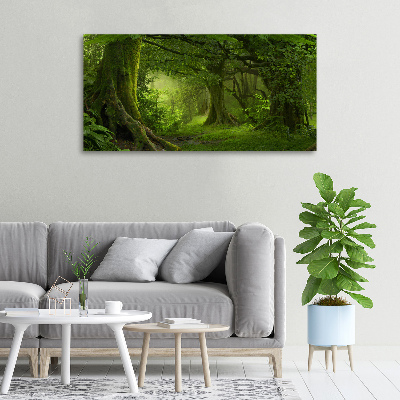 Cuadro canvas con impresión uv duradera horizontal Selva tropical