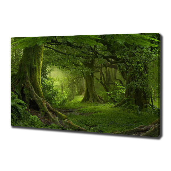 Cuadro canvas con impresión uv duradera horizontal Selva tropical