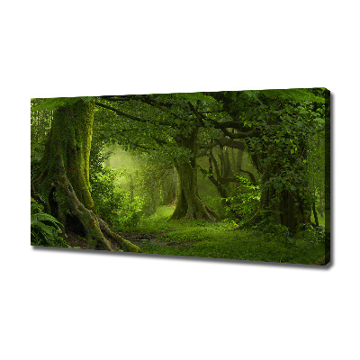 Cuadro canvas con impresión uv duradera horizontal Selva tropical