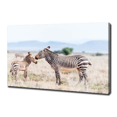 Cuadro canvas moderno de gran formato horizontal Cebras en las montañas