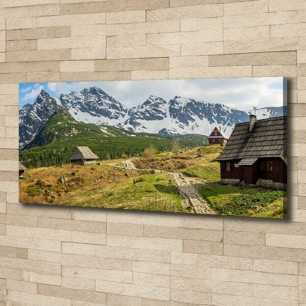 Foto obraz canvas Hale Tatry