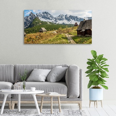 Foto obraz canvas Hale Tatry